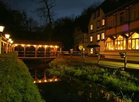 Waldhotel Pfarrmuehle *