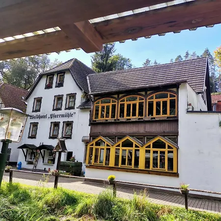 Hotel Waldhotel Pfarrmuehle Eisenberg (Thuringia)