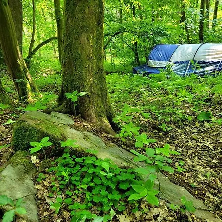 Hotel Waldhotel Pfarrmuehle Eisenberg (Thuringia)