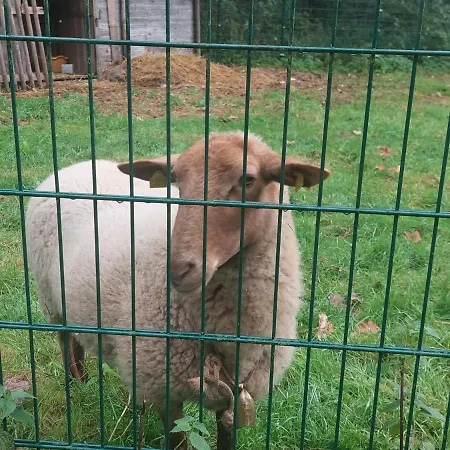 Waldhotel Pfarrmuehle *