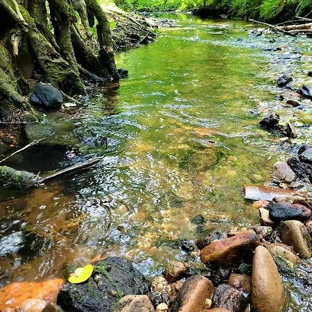 Waldhotel Pfarrmuehle מלון אייזנברג