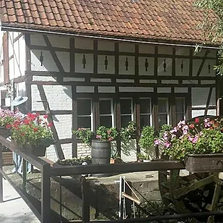 Waldhotel Pfarrmuehle * Eisenberg (Thuringia)