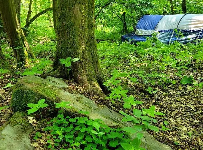 מלון Waldhotel Pfarrmuehle אייזנברג