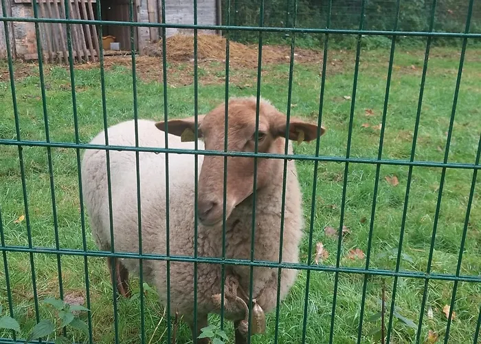 Waldhotel Pfarrmuehle *