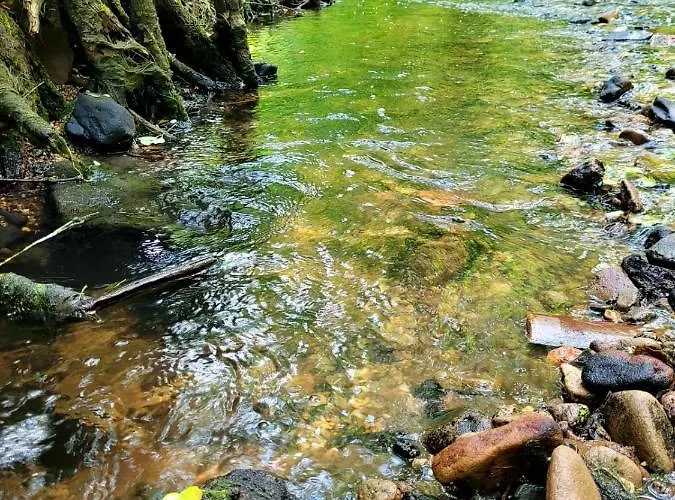 Waldhotel Pfarrmuehle מלון אייזנברג